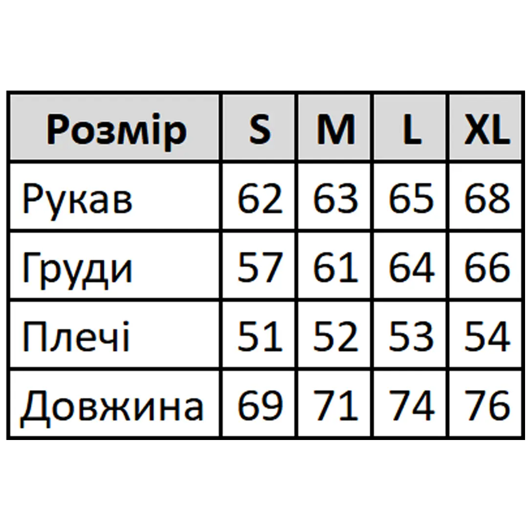 Чоловіча сорочка в клітинку