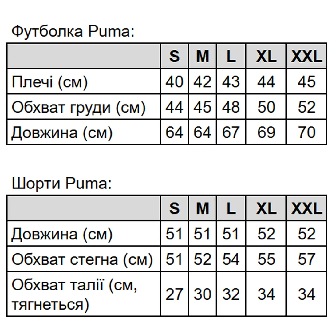 Літній комплект Чоловічий комплект Puma (футболка біла + шорти) Магазин Орхідея Чоловічий комплект Puma (футболка + шорти)
