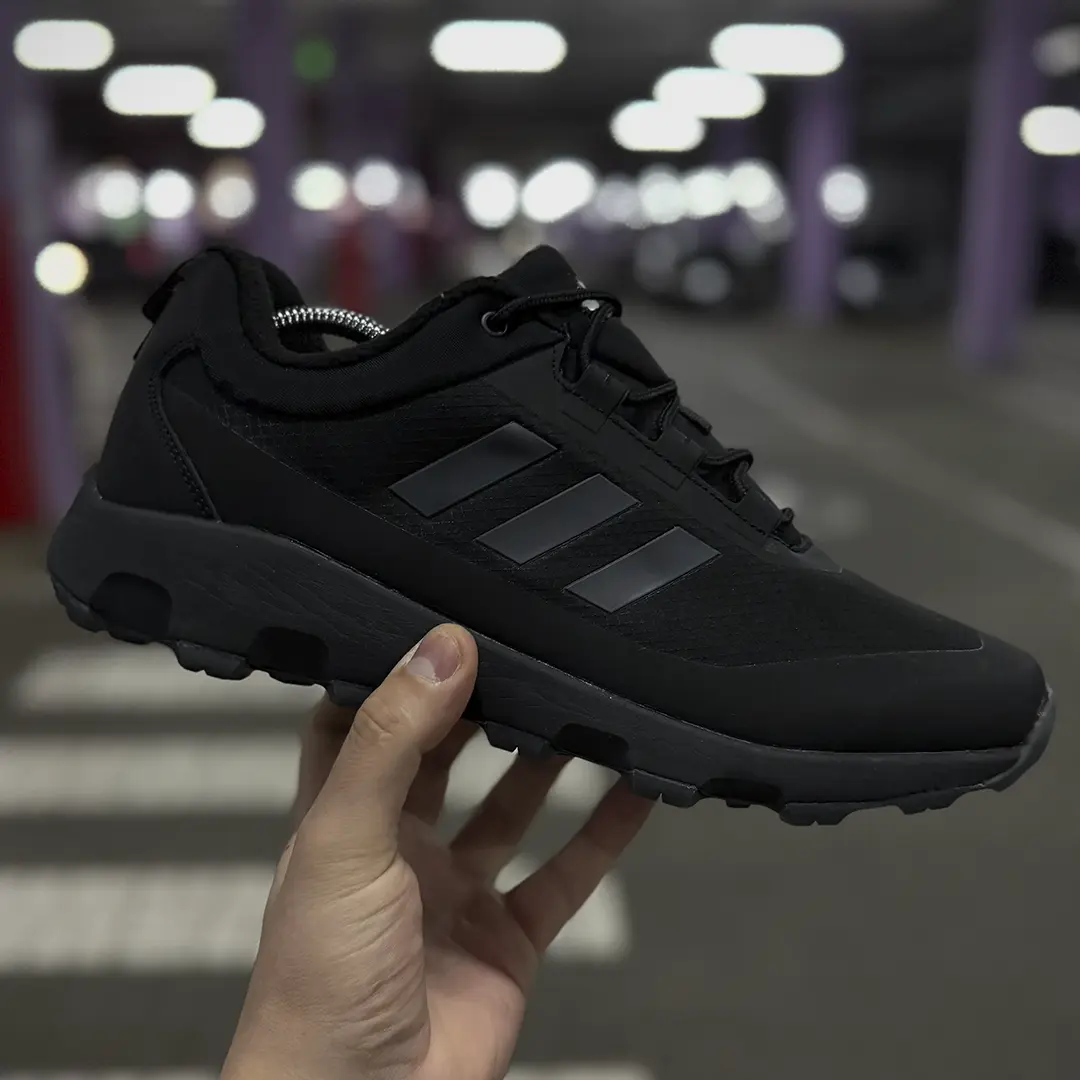 Термо кросівки Adidas Terrex Voyager